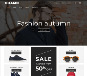 Chamo – Responsive WooCommerce WordPress Theme for Online Stores