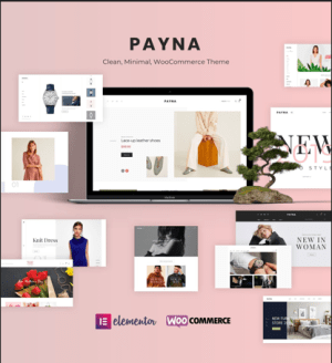 Payna – Minimal WooCommerce WordPress Theme for Clean Stores